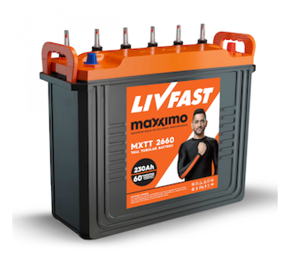 LIVFAST MAXXIMO MXTT 2660, 230AH TUBULAR BATTERY